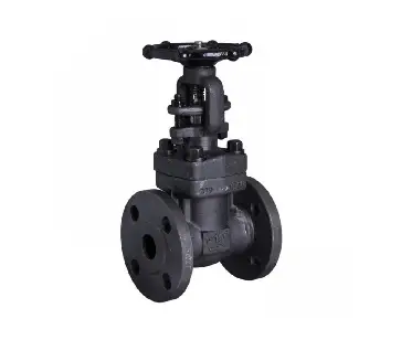 Forged Steel Valves