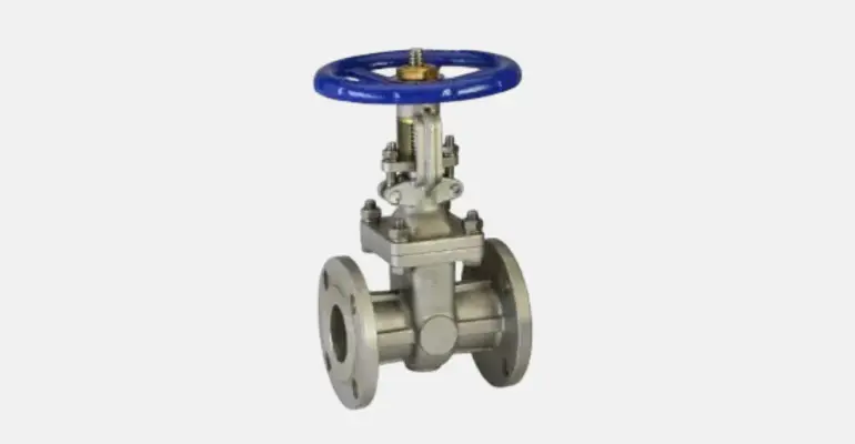 Gate Valves Image