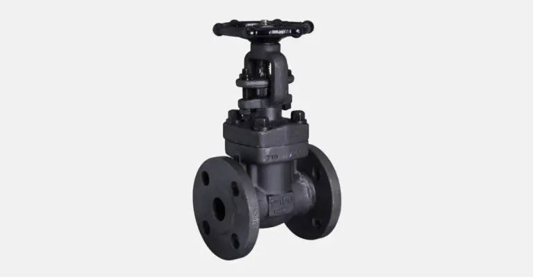 Forged Steel Valves Image